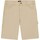 Abbigliamento Uomo Shorts / Bermuda Dickies DK0A4XNGF021 Beige