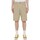 Abbigliamento Uomo Shorts / Bermuda Dickies DK0A4XNGF021 Beige