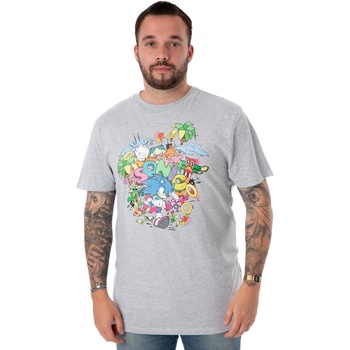 Abbigliamento Uomo T-shirts a maniche lunghe Sonic The Hedgehog NS7982 Grigio