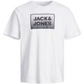 Image of T-shirt & Polo Jack & Jones 12249331 STEEL-WHITE
