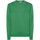 Abbigliamento Uomo T-shirts a maniche lunghe Sun68 ROUND NECK SOLID Verde