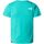 Abbigliamento Unisex bambino T-shirt & Polo The North Face NF0A87T4 TEEN SS SIMPLE DOME TEE-PIN DOME turchese