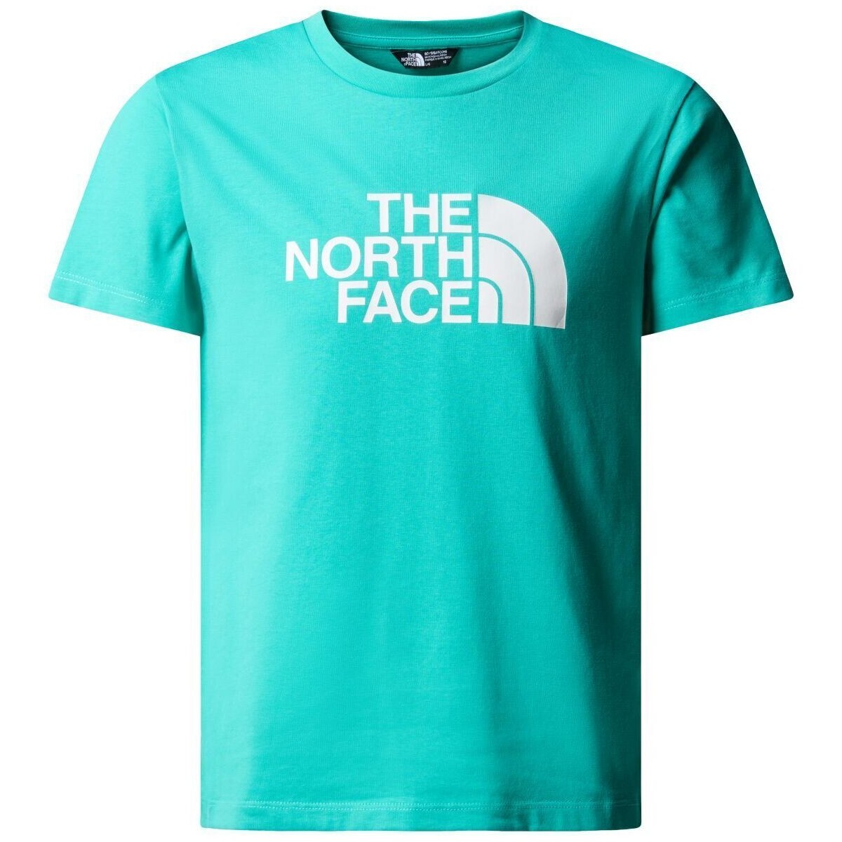 Abbigliamento Unisex bambino T-shirt & Polo The North Face NF0A87T6 B S/S EASY TEE-PIN GEYSER Blu