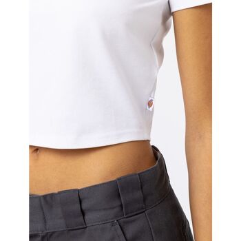 Dickies MAPLE VALLET DK0A4XPO-WHX WHITE Bianco