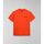 Abbigliamento Uomo T-shirt & Polo Napapijri S-TAHI NPA4HQA-A63 ORANGE SPICY Arancio