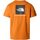 Abbigliamento Uomo T-shirt & Polo The North Face NF0A87NP M SS BOX NSE TEE-PCO ORANGE Arancio