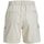 Abbigliamento Donna Shorts / Bermuda Jjxx 12225955 HOLLY CARGO SHORTS-MOONBEAM Beige