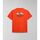 Abbigliamento Uomo T-shirt & Polo Napapijri S-TAHI NPA4HQA-A63 ORANGE SPICY Arancio