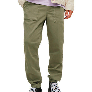 Abbigliamento Uomo Pantaloni Jack & Jones 12254131 Verde