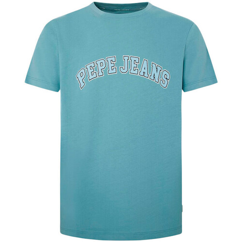Abbigliamento Uomo T-shirt & Polo Pepe jeans PM509220 Blu