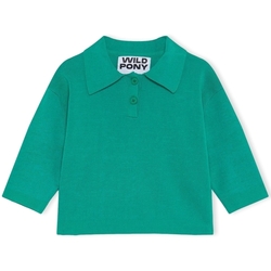 Abbigliamento Donna Maglioni Wild Pony Knit 10603 - Green Verde