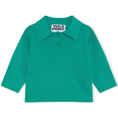 Abbigliamento Donna Maglioni Wild Pony Knit 10603 - Green Verde