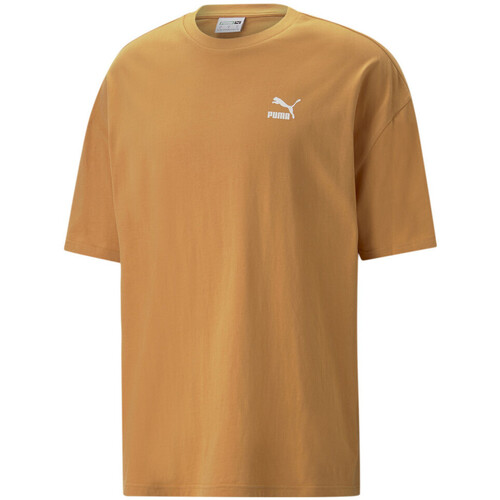 Abbigliamento Uomo T-shirt maniche corte Puma 538070-30 Arancio