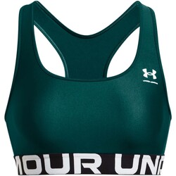 Abbigliamento Donna Top / T-shirt senza maniche Under Armour Ua Hg Authentics Mid Branded Verde