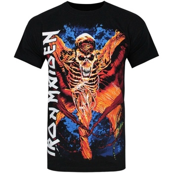 Abbigliamento Uomo T-shirts a maniche lunghe Iron Maiden Vampyr Nero