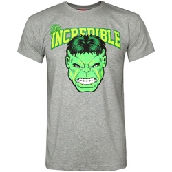 Abbigliamento Uomo T-shirts a maniche lunghe Hulk Incredible Grigio