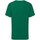 Abbigliamento Unisex bambino T-shirt maniche corte Fruit Of The Loom Iconic 195 Premium Verde
