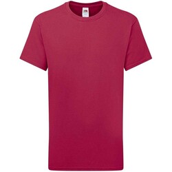 Abbigliamento Unisex bambino T-shirt maniche corte Fruit Of The Loom Iconic 195 Premium Multicolore