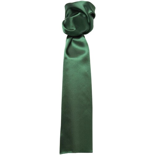 Abbigliamento Cravatte e accessori Premier Colours Verde