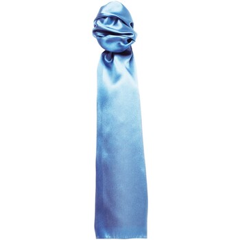 Abbigliamento Cravatte e accessori Premier Colours Blu