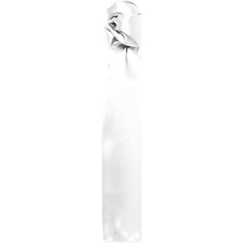Abbigliamento Cravatte e accessori Premier Colours Bianco