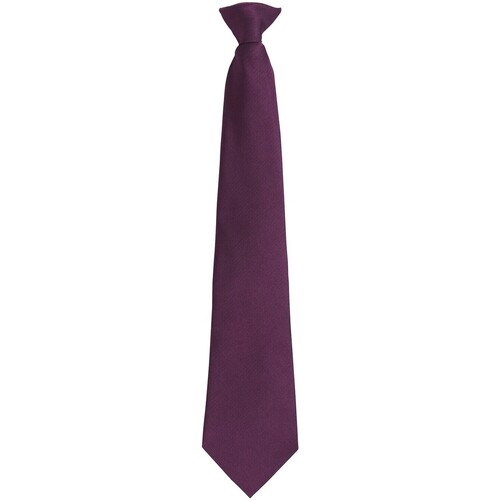 Abbigliamento Cravatte e accessori Premier Colours Fashion Viola