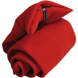 Abbigliamento Cravatte e accessori Premier PR710 Rosso