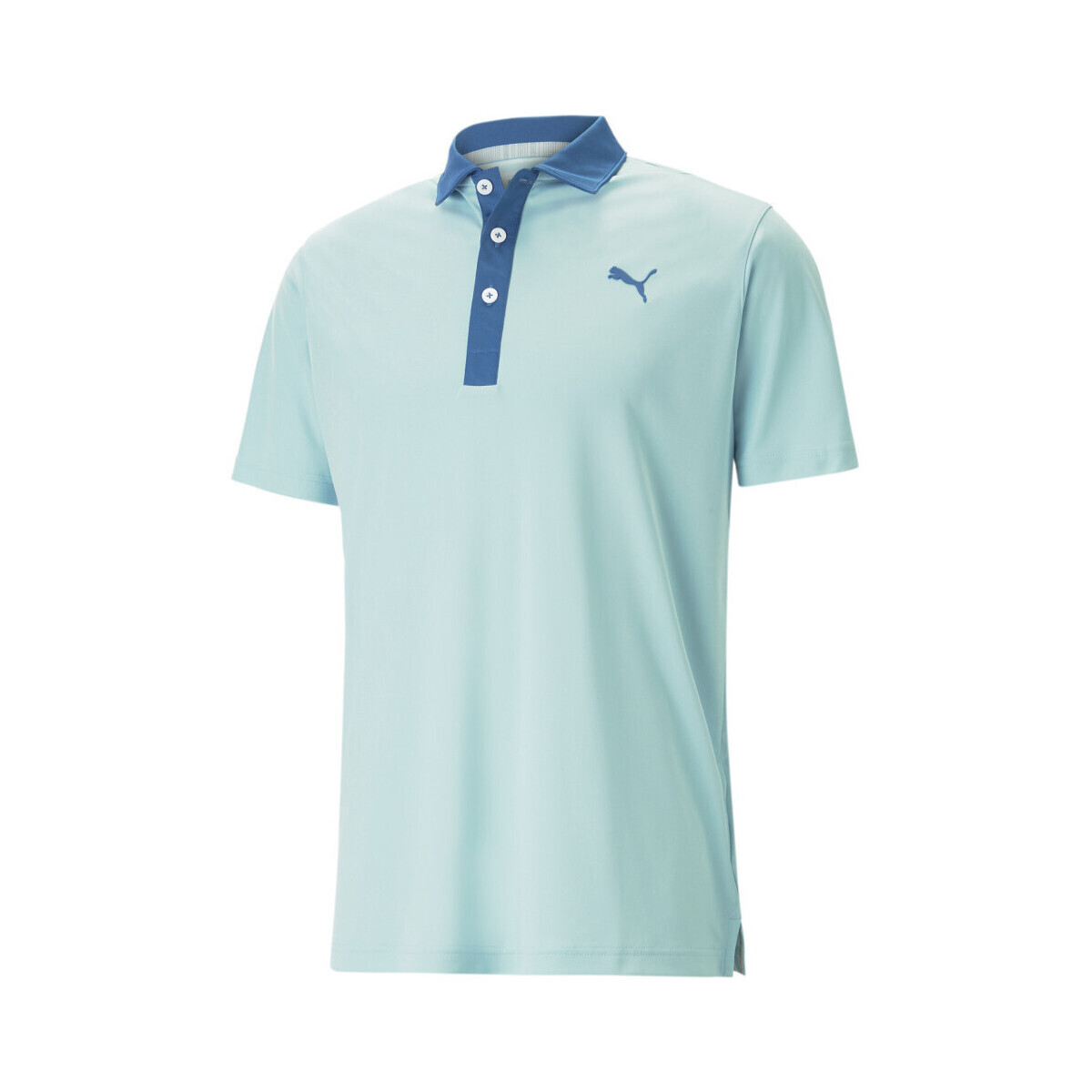 Abbigliamento Uomo T-shirt & Polo Puma 599118-31 Blu