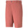 Abbigliamento Uomo Shorts / Bermuda Puma 535522-18 Rosso