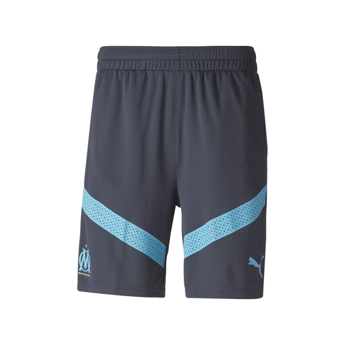 Abbigliamento Uomo Shorts / Bermuda Puma 767295-02 Blu