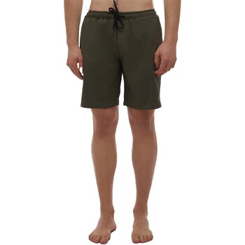 Abbigliamento Uomo Shorts / Bermuda Refrigiwear CT0025 Verde