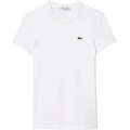 Image of T-shirt & Polo Lacoste T-Shirt e Polo Donna TF7218 001 Bianco
