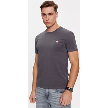 Abbigliamento Uomo T-shirt & Polo Guess M2YI24 J1314 CORE TEE-G9I4 MAGNETIC Grigio