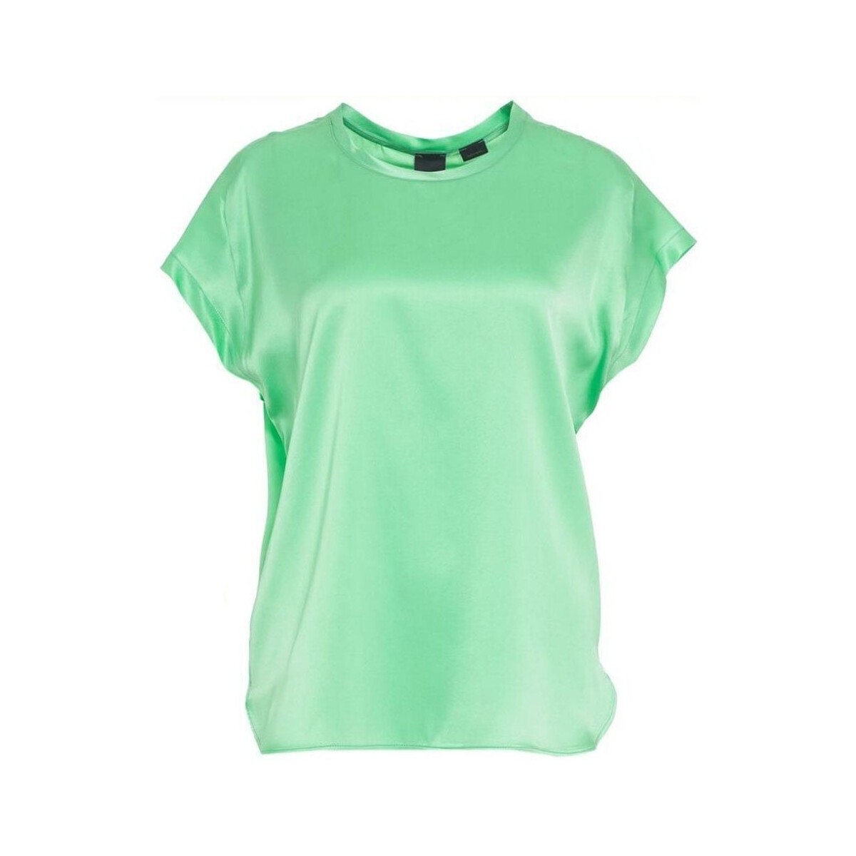 Abbigliamento Donna Camicie Pinko FARIDA 100100 A1RJ-T38 Verde