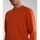 Abbigliamento Uomo Felpe Napapijri BALIS CREW SUM 2 NP0A4H89-A62 ORANGE BURNT Arancio