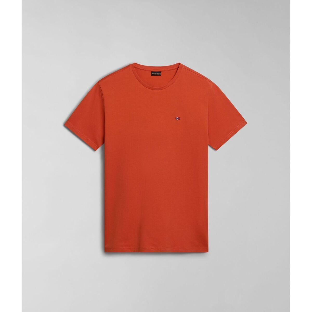 Abbigliamento Uomo T-shirt & Polo Napapijri SALIS SS SUM NP0A4H8D-621 BURNT RANGE Arancio