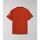 Abbigliamento Uomo T-shirt & Polo Napapijri S-AMUNDSEN NP0A4H6B-A62 ORANGE BURNT Arancio