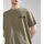 Abbigliamento Uomo T-shirt & Polo Napapijri S-KOTCHO NP0A4HTV-GAE GREEN LICHEN Verde