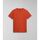 Abbigliamento Uomo T-shirt & Polo Napapijri SALIS SS SUM NP0A4H8D-621 BURNT RANGE Arancio