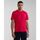 Abbigliamento Uomo T-shirt & Polo Napapijri SALIS SS SUM NP0A4H8D-R25 RED BARBERRY Rosso