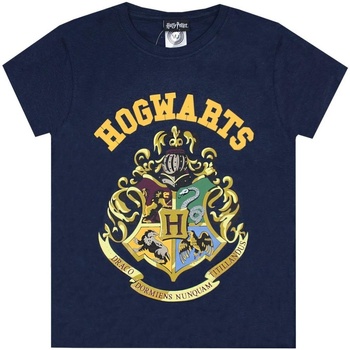 Abbigliamento Bambino T-shirt & Polo Harry Potter NS7817 Blu