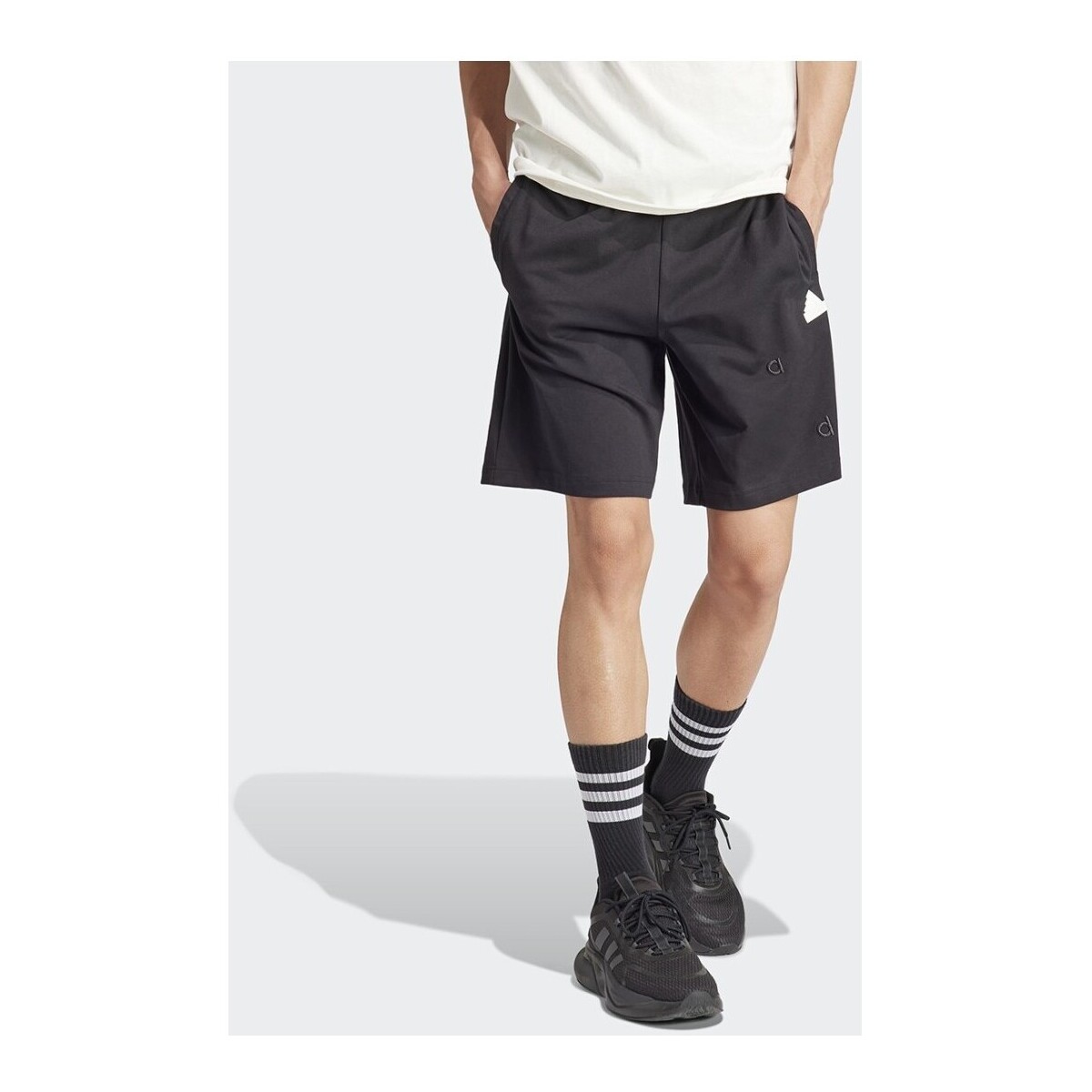 Abbigliamento Uomo Shorts / Bermuda adidas Originals Shorts Embroidered Ice Hockey Nero
