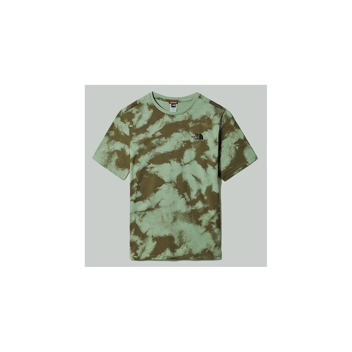 Abbigliamento Uomo T-shirt & Polo The North Face Simple Dome Tee Verde