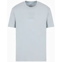 Abbigliamento Uomo T-shirt & Polo EAX 3DZTBF Grigio