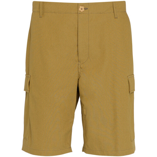Abbigliamento Shorts / Bermuda Kenzo Bermuda Cargo  Workwear tabacco Altri