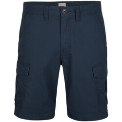 Abbigliamento Uomo Shorts / Bermuda O'neill N2700000-5056 Blu
