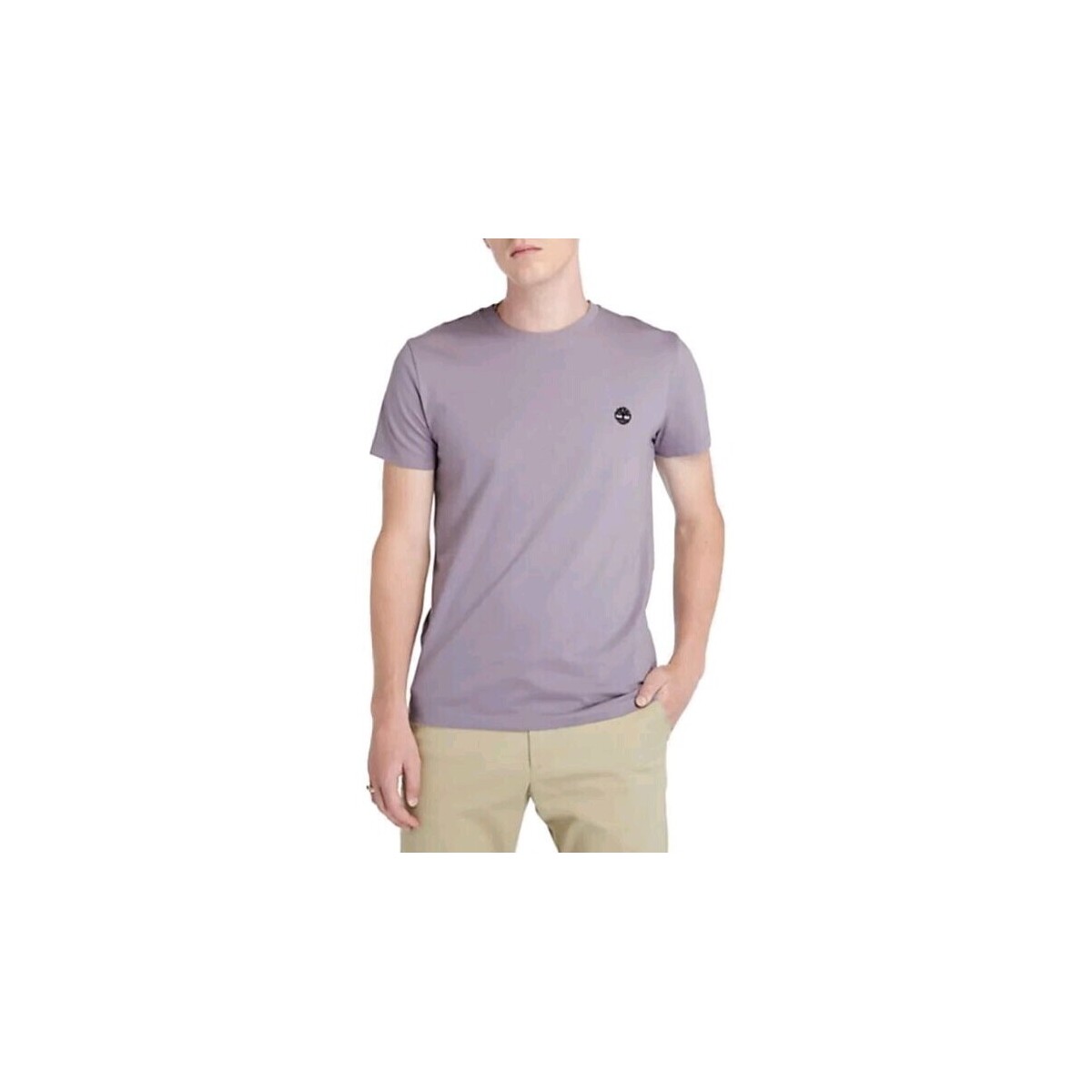 Abbigliamento Uomo T-shirt & Polo Timberland TB0A2BPR-EG7 Viola