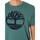 Abbigliamento Uomo T-shirt maniche corte Timberland T-shirt con logo ad albero Verde