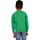 Abbigliamento Unisex bambino Maglioni Casual Classics AB568 Verde