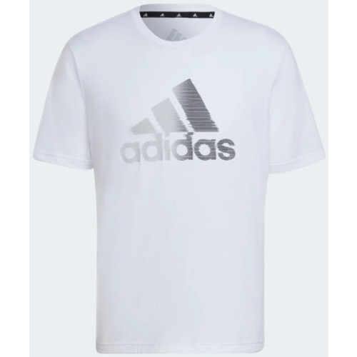 Abbigliamento Uomo T-shirt & Polo adidas Originals T-Shirt Aeroready Designed To Move Sport Logo Bianco